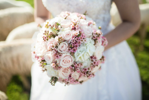 Стаття блогу